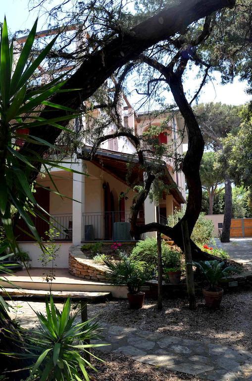 Residence Solalto San Vincenzo Exteriör bild